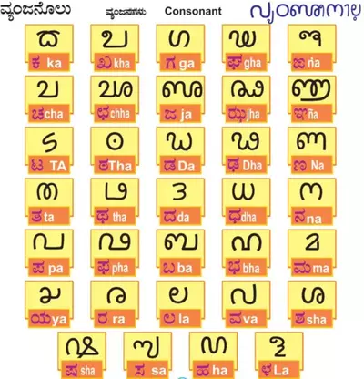 Tulu Scripts – Consonants