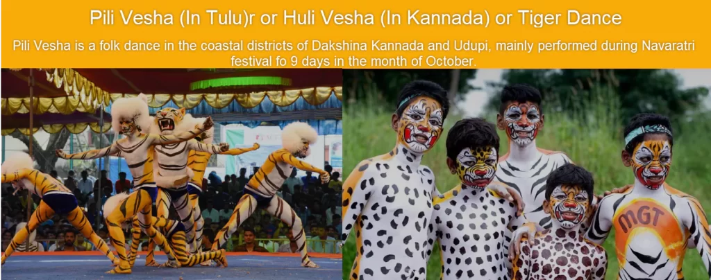 Pili Vesha (In Tulu) or Huli Vesha (In Kannada) or Tiger Dance - Folk Dance of Coastal Districts of Karnataka.