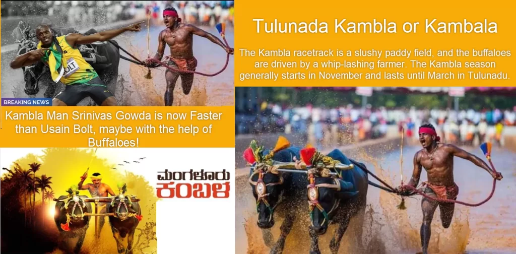 Tulunada Kambla or Kambala or Kambula