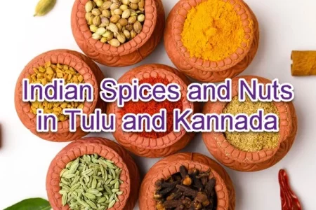 Indian Spices and Nuts in Tulu