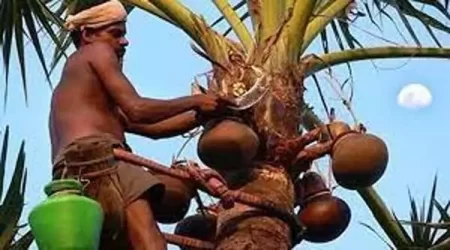 toddy-tapping-mangalore