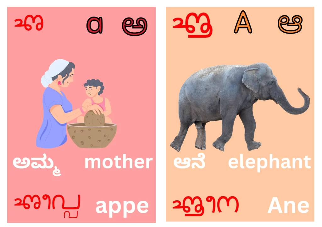 Tulu Flash Card for Letter a appe