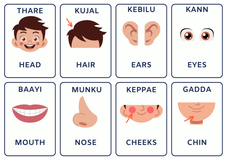 Tulu Flash Cards for Body Parts