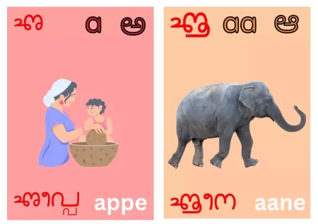 Tulu Alphabets Flash Cards
