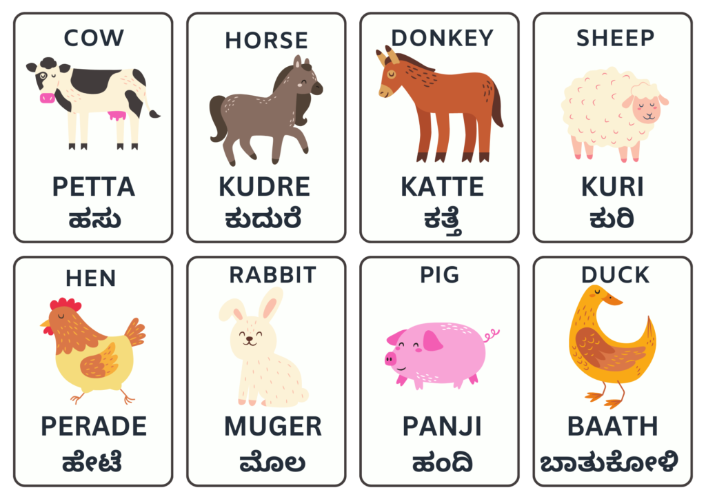 Download Flash Cards in Tulu for Domestic Animals - Set 1 of 3
