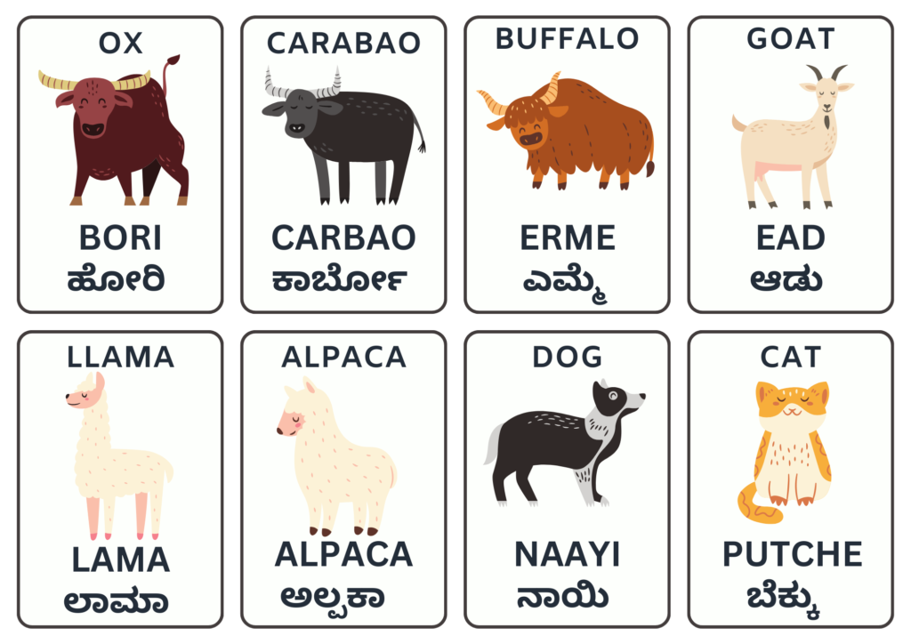 Download Flash Cards in Tulu for Domestic Animals Set 2 of 3