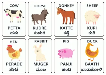 Tulu Flash Cards for Domestic Animals