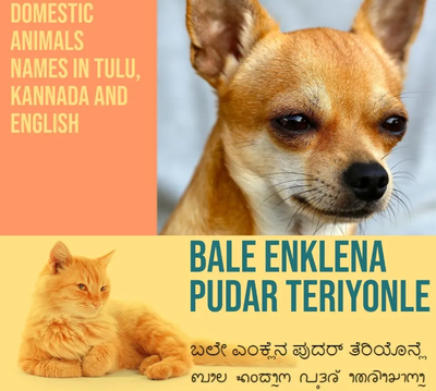Tulu Animals Name