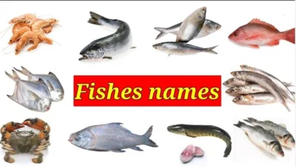 Fish Names in Tulu